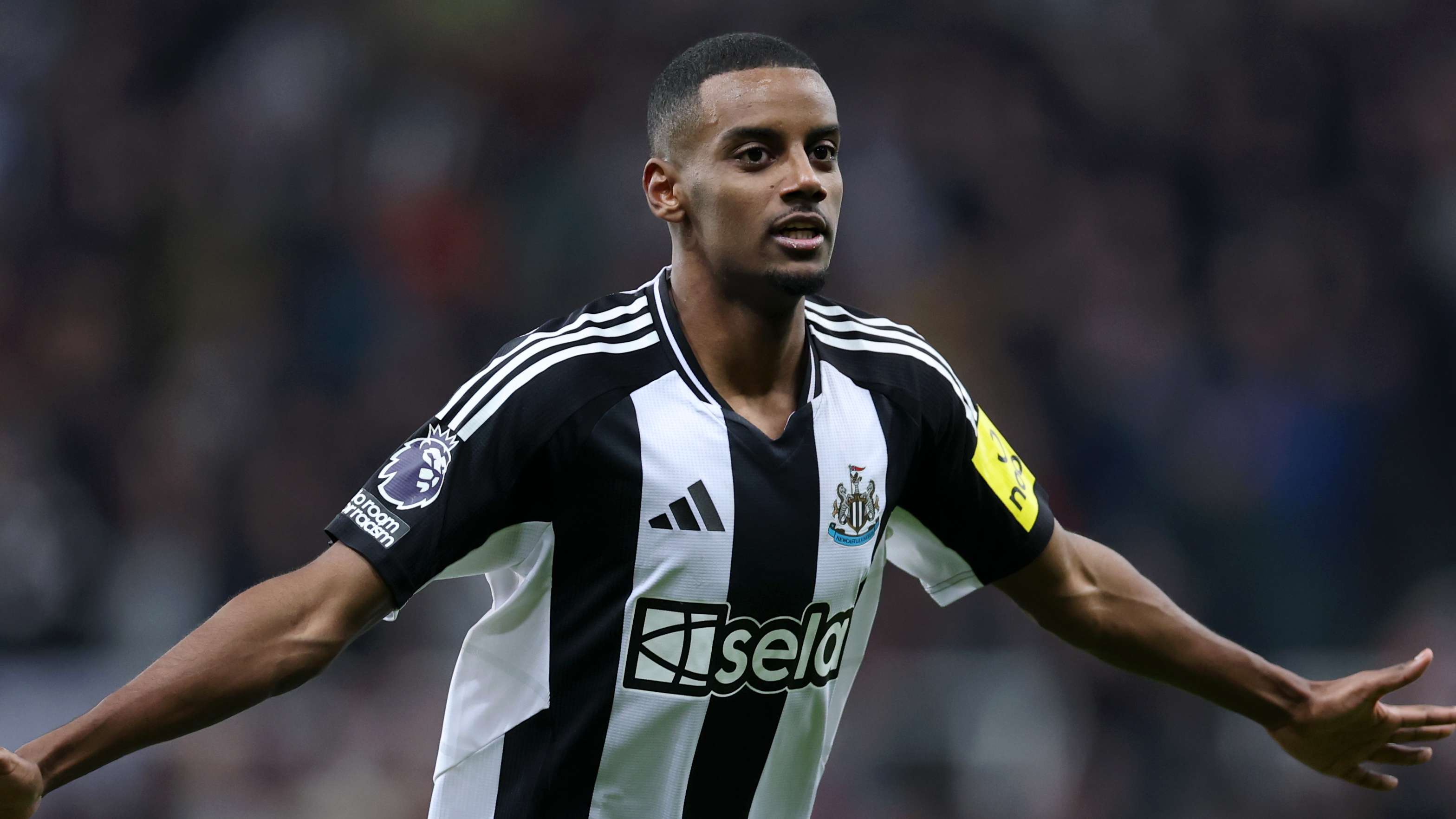 中同样不遑 中同样不遑