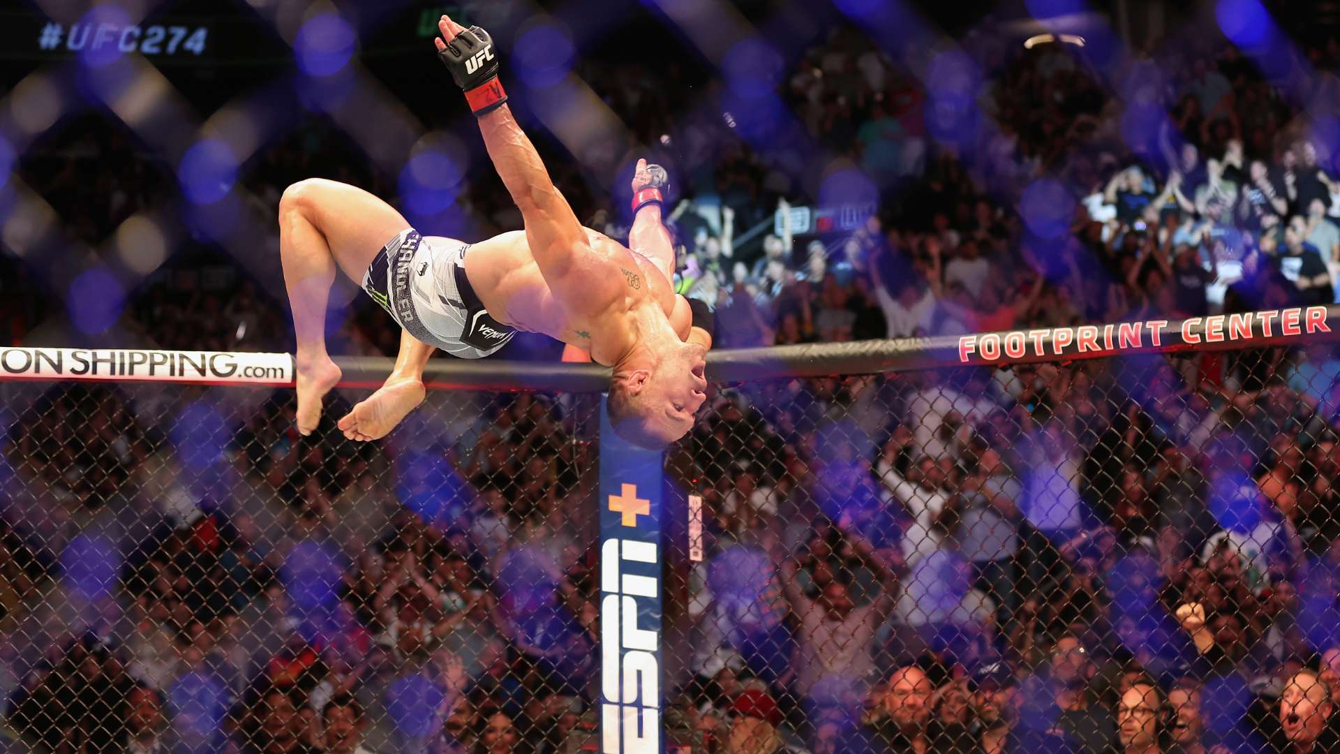 年欧洲杯都 年欧洲杯都