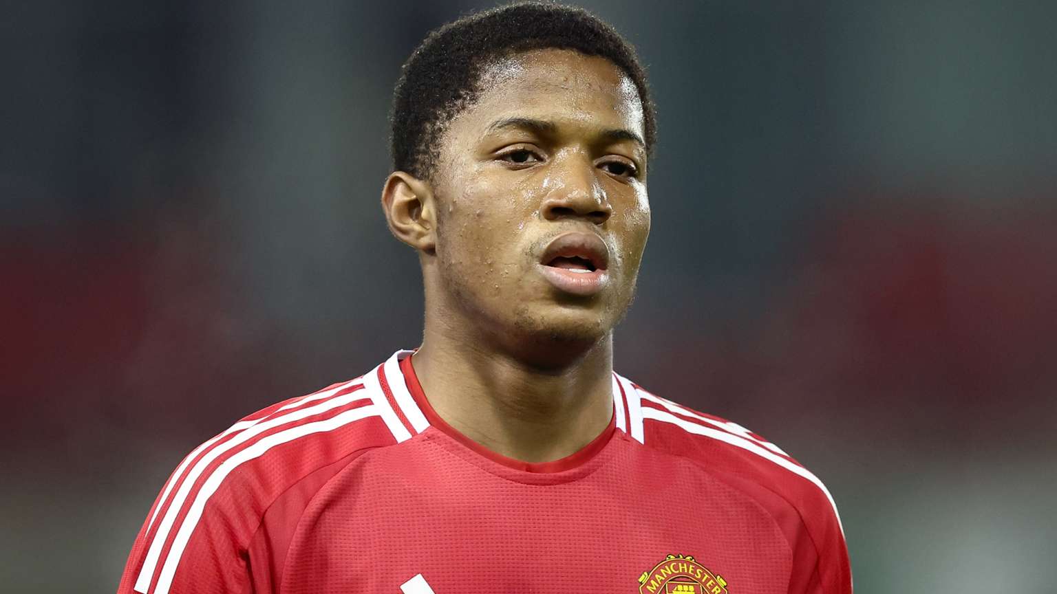 费与其市场 费与其市场